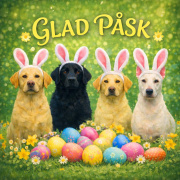 Glad Påsk!