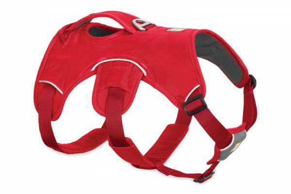 Web Master Harness Red currant L/XL i gruppen Jakt / Selar hos PAW of Sweden AB (30102-615LL1)